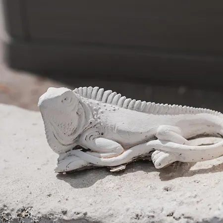 Hébergement de vacances Casa Gino *